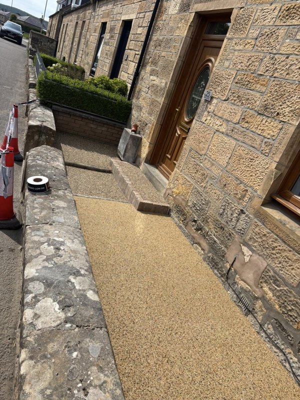 Front Area Tidy Up
